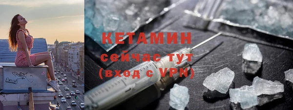 стаф Касимов