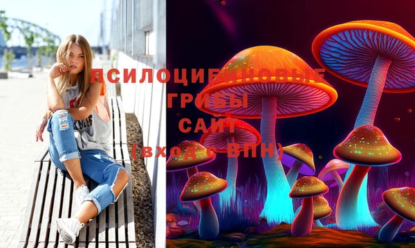 стаф Касимов