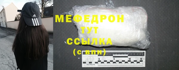 стаф Касимов