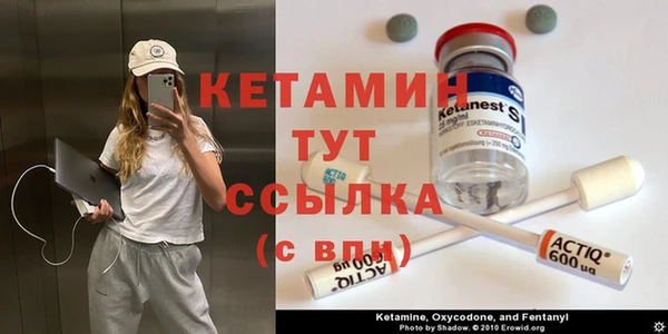 стаф Касимов
