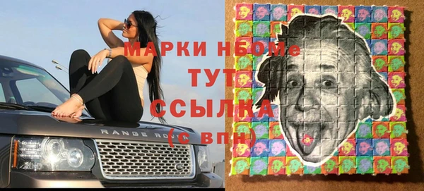 стаф Касимов