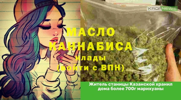 стаф Касимов