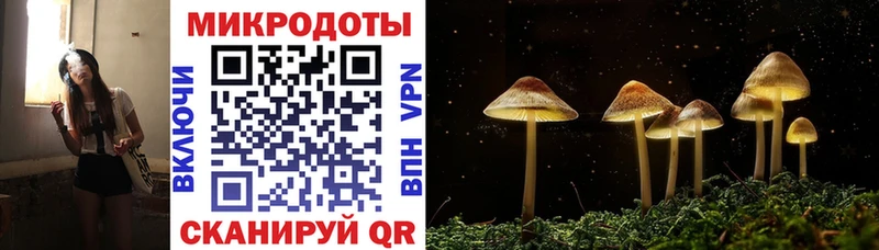 Галлюциногенные грибы Psilocybine cubensis  Купить закладки  Звенигород 